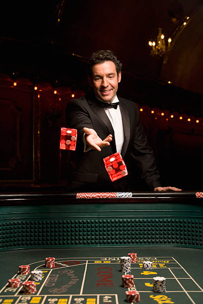VIP Roulette betting interface and live wheel on joker toto